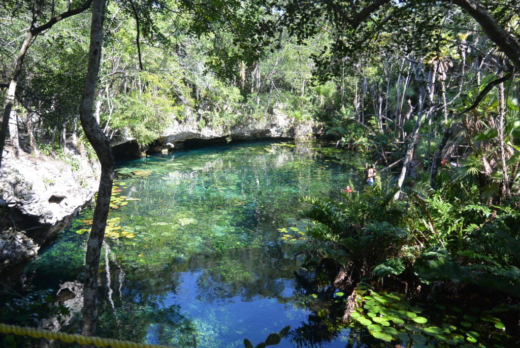 Cenote Nic Te Ha
