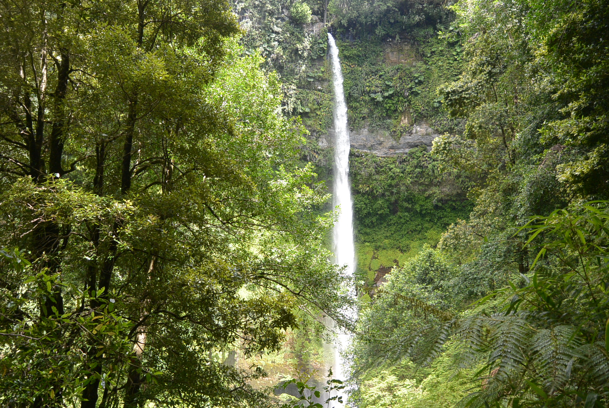 Wasserfall mitten im Wald