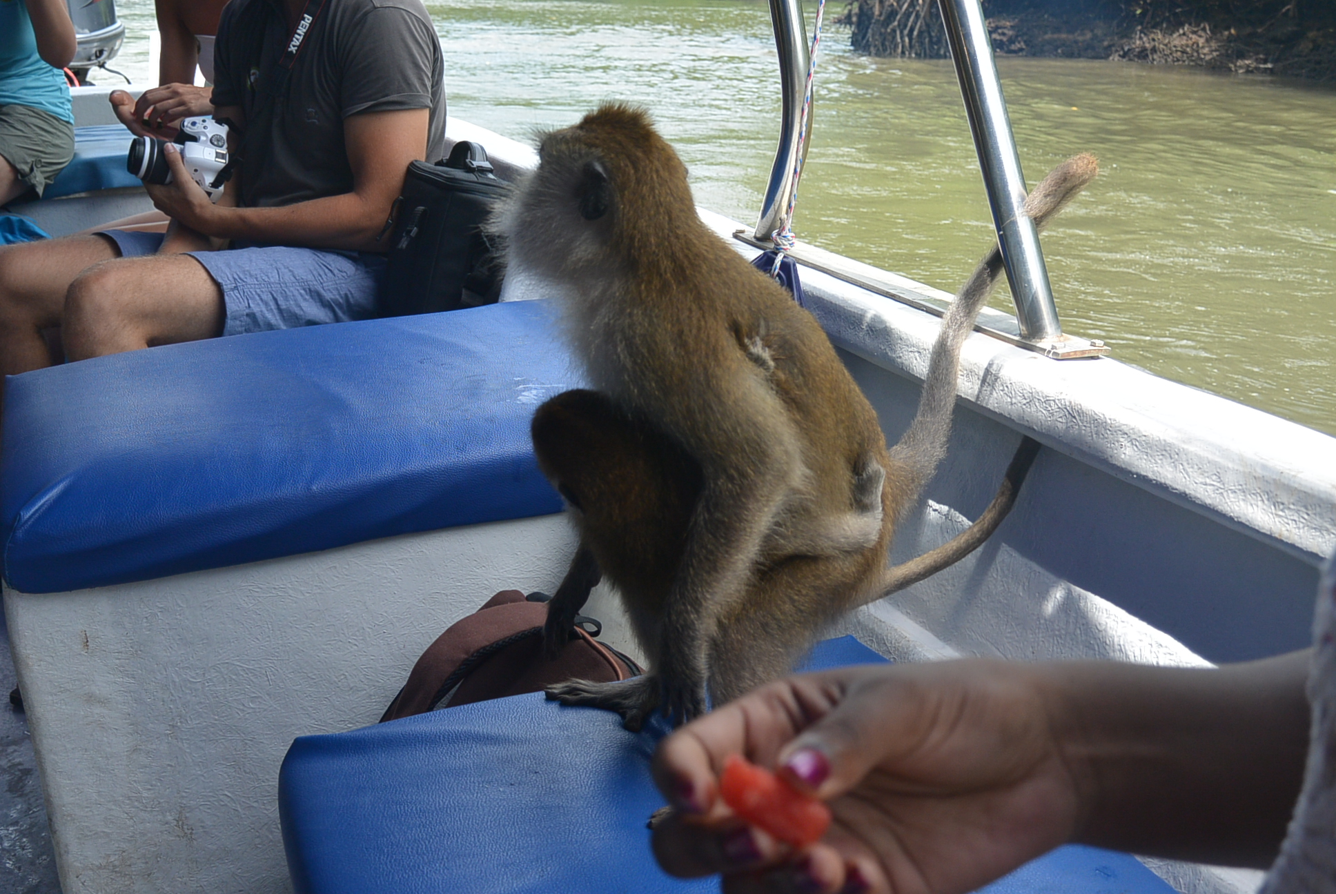 Unser Boot wurde von Affen gekapert