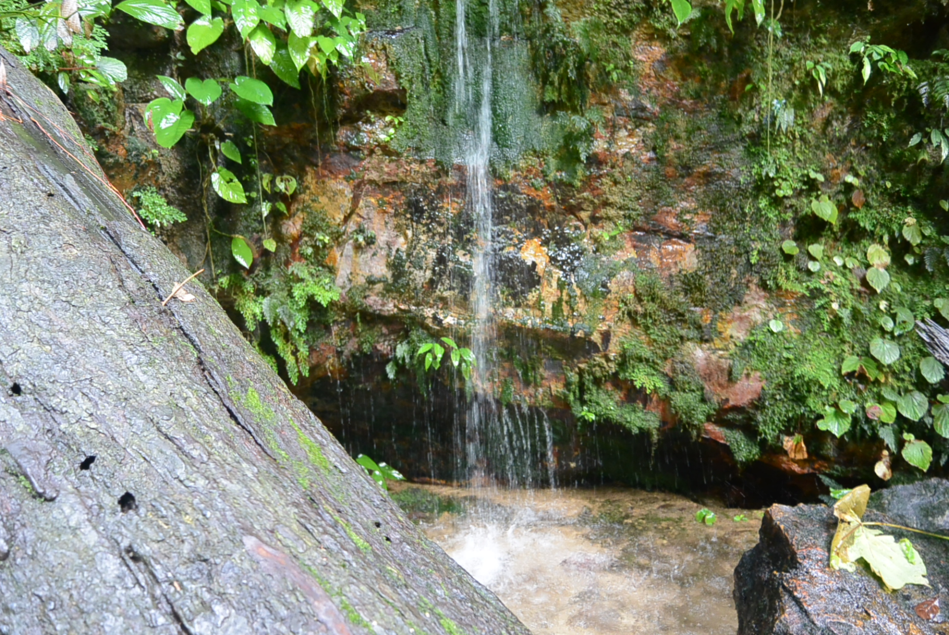 Der lausige Wasserfall